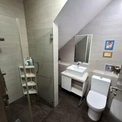 Sycamore Tree (D15), Apartment #539883921